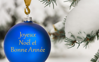 Joyeux Noël et Bonne Année